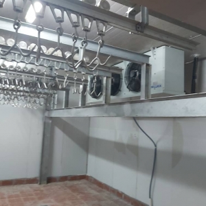 WhatsApp Image 2021-12-20 at 11.26.57 AM